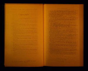 READING THROUGH EVERY PAGE OF JOSEPH KOSUTH'S PURLOINED N°123