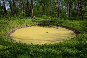 BOMB CRATER