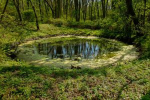 BOMB CRATER