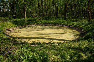 BOMB CRATER