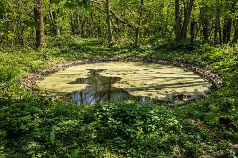 BOMB CRATER